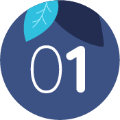 graphiste nantes cholet clisson illustration design logo