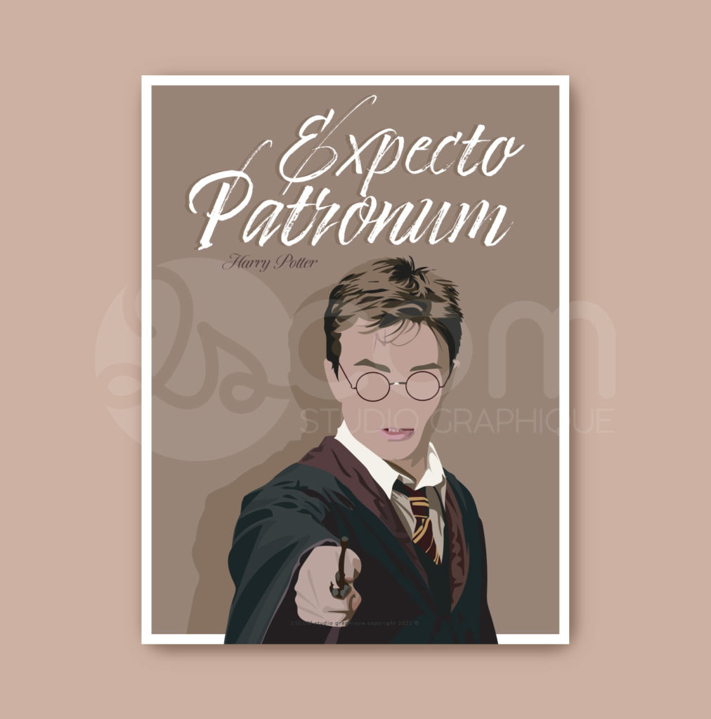 Affiche Poster HARRY POTTER affiche-poster-harry-potter