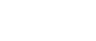 Logo d'entreprise de le marque BSVL